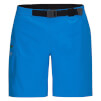 Spodenki męskie Zajo Fiss Shorts blue