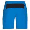 Spodenki męskie Zajo Fiss Shorts blue