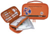 Apteczka turystyczna Medical & Dental Kit TravelSafe 42 elementy