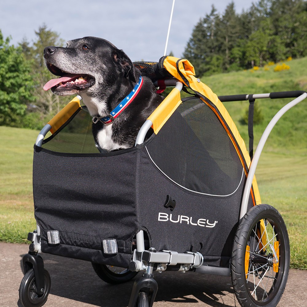 burley tail wagon 2018