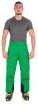 Spodnie w góry Nassfeld Pants zielone Zajo