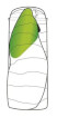 Śpiwór turystyczny Colibri Lux (190 cm) Outwell