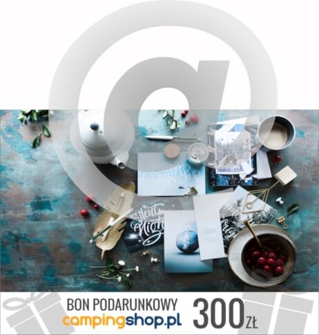 e-Bon podarunkowy na Gwiazdkę o wartości 300 zł do samodzielnego wydruku