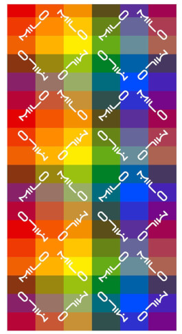 Chusta wielofunkcyjna Milo Scarf Rainbow