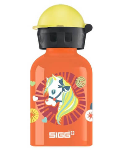 Butelka turystyczna dla dzieci Shetty SIGG 300 ml