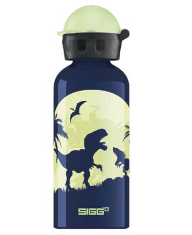 Butelka turystyczna dla dzieci Glow Moon Dinos SIGG 400 ml