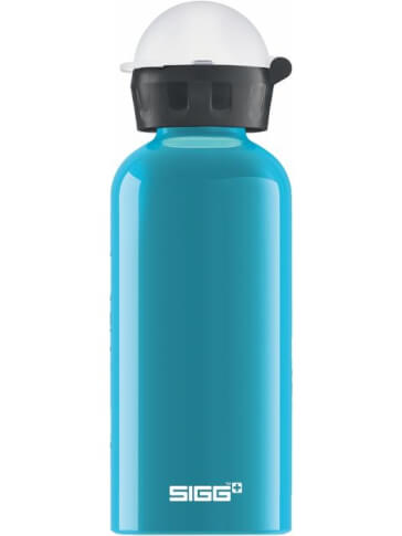 Butelka turystyczna KBT Waterfall 0,4L SIGG