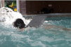 Płetwa do nauki pływania SwimFin Lila