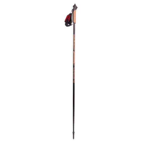 Kijki do nordic walking Paras 115cm Viking