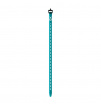 Pasek do spinania nart Tension Strap 50 G3 turkusowy