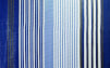 Wykładzina podłogowa do przedsionka Viais 700 x 250 cm niebieska Brunner 