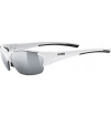 Całoroczne okulary sportowe Uvex Blaze III 2.0 white black