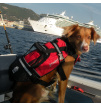 Kamizelka ratunkowa do pływania dla psa Pet Float Crewsaver
