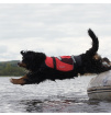 Kamizelka ratunkowa do pływania dla psa Pet Float Crewsaver