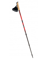 Kije do nordic walking Viking Kube Pro