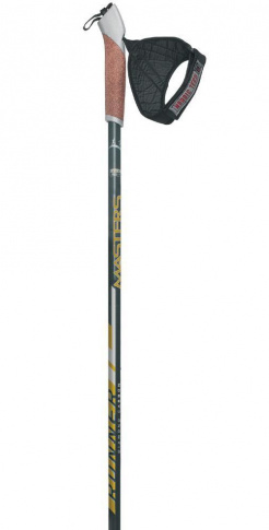 Kije do Nordic Walking Runner Gold 110 cm Masters