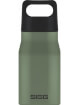 Butelka turystyczna Explorer Leaf Green 0,55 l SIGG