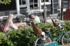 Fotelik rowerowy exclusive Maxi E-BD Cinnamon Brow Bobike