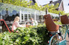Fotelik rowerowy exclusive Maxi E-BD Cinnamon Brow Bobike