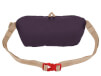 Saszetka na pas Stash Waist Bag Borealis Eagle Creek