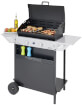 Grill gazowy Xpert 200 L Vario Campingaz