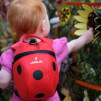 Plecaczek dla dzieci 1-3 lata Biedronka LittleLife Animal