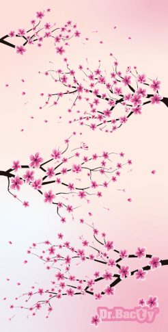 Antybakteryjny ręcznik szybkoschnący 70x140 Cherry blossom Dr.Bacty