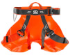 Uprząż sportowa do canyoningu Pro Canyon Harness grey/orange Climbing Technology
