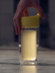 Szklany kubek termiczny Nova Mug lemon 0,37 SIGG