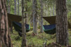 Lesovik hamak z moskitierą Draka treetop green