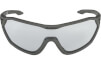 Okulary sportowe S-Way V szkło black 1-3 moon-grey matt Alpina