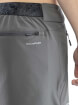 Męskie spodenki trekkingowe Expander Shorts Man grey Viking