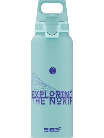 Butelka turystyczna WMB One Pathfinder glacier 1L SIGG 