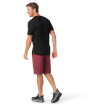 Koszulka z wełny merino M'S Merino Short Sleeve Tee black Smartwool