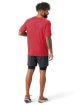 Koszulka z wełny merino M'S Merino Sport 120 Short Sleeve red Smartwool
