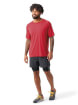 Koszulka z wełny merino M'S Merino Sport 120 Short Sleeve red Smartwool