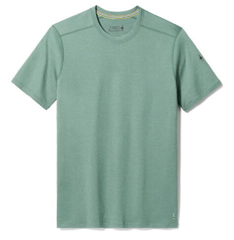 Koszulka z wełny merino M'S Merino Short Sleeve Tee sage Smartwool