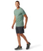 Koszulka z wełny merino M'S Merino Short Sleeve Tee sage Smartwool