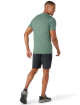 Koszulka z wełny merino M'S Merino Short Sleeve Tee sage Smartwool