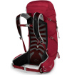 Plecak turystyczny TALON 33 męski L/XL Osprey - cosmic red