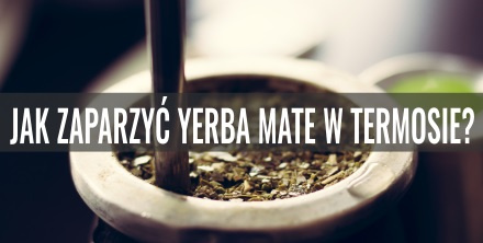 Jak zaparzyć yerba mate w termosie?