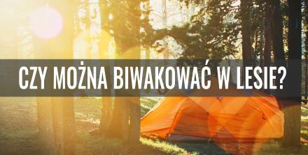 Czy można biwakować w lesie?