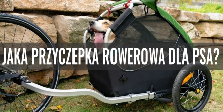 Jaka przyczepka rowerowa dla psa?