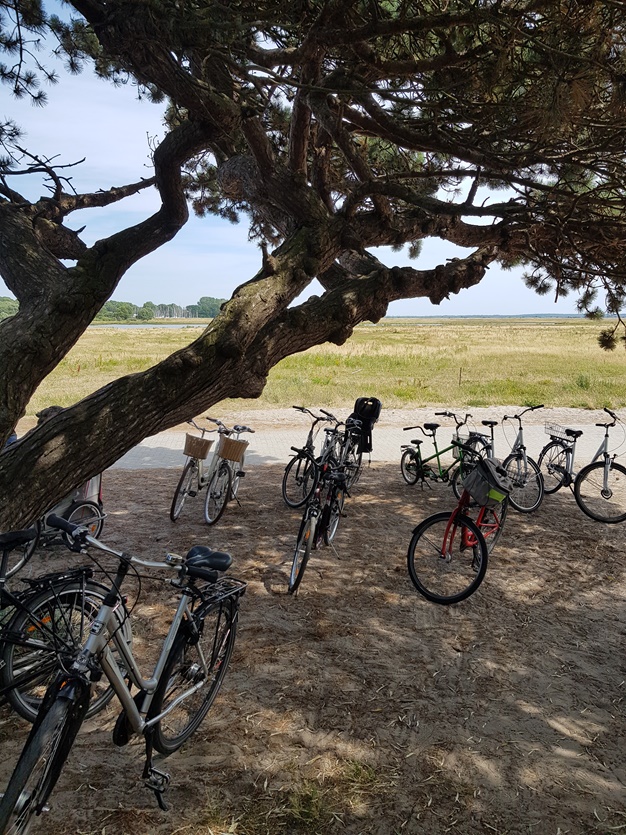 hiddensee zwiedzanie rowerem